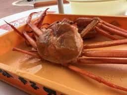 伝宝丸