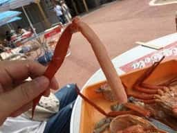 伝宝丸