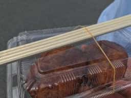 古代蓮うどん店