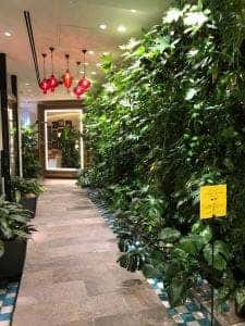 ラウンジ セイロンタイム