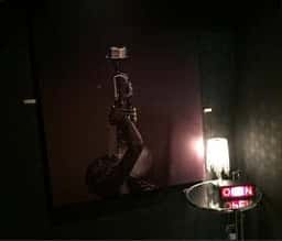 Fellows