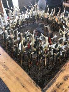 道の駅 古今伝授の里やまと