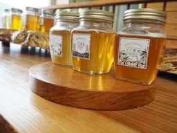 喫茶 ドントーレ