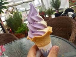 河口湖ハーブ館 喫茶コーナー