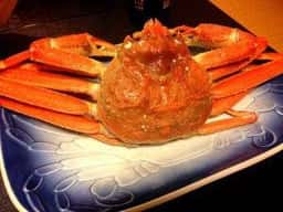 越前の宿 うおたけ