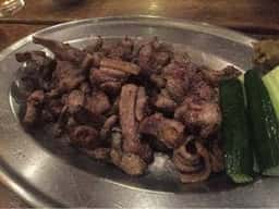 海で魚を食べる鳥