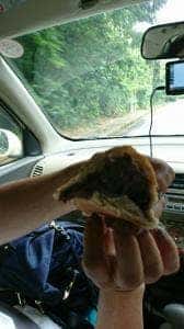 トミーのパン