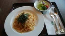 ティエラ 種子島いわさきホテル