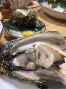 ちゃんこ鍋、一品料理 力