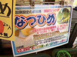 のんきや 入江店