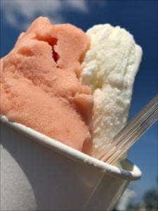 みどりの杜のカフェ みどりの杜農業園芸センター