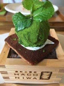 カフェ ハコニワ
