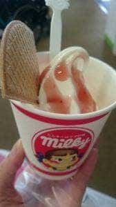 不二家 イオンSuC湯沢店