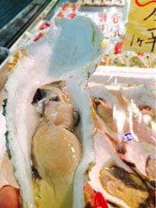 シマワキ水産 八食センター