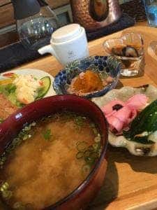 木蓮