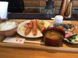 木蓮