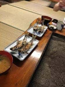 荒川森田城やな