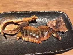 廻船呑屋 表参道店