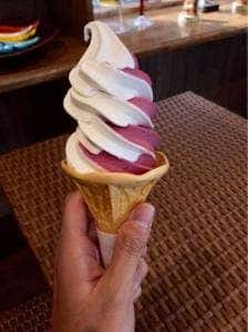 ブルーベリー農園 森の畑 シャン・ドゥ・ボア