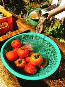 不動滝ひろづき