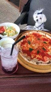 サフランズカフェ