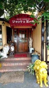 ジャックと豆の樹