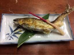 郡上八幡観光ヤナ