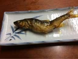 郡上八幡観光ヤナ