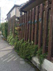 モクモク