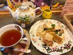 カフェ バードケージ