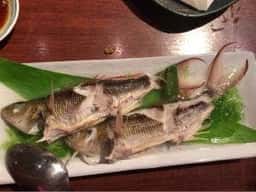 海八