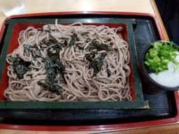 明月