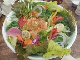 vegetable base chimera