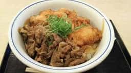 かつや 豊田前田町店