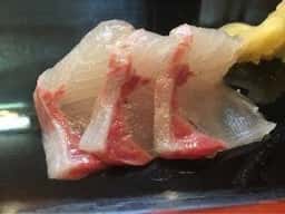 建寿し