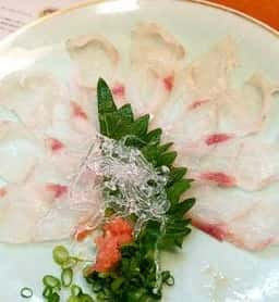 天婦羅・割烹・居酒屋 天まつや