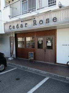 Cedar Rose