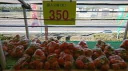 柿の里ふれあいセンター