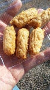 道の駅 田野駅屋