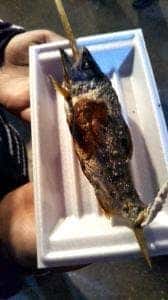 華厳の滝 つみっこ