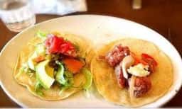 タケリア・パチャンガ