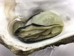 稲場魚介苑