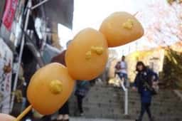 石段玉こんにゃく