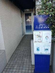 フラミンゴ