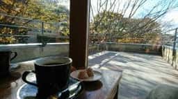 Zelkova Coffee