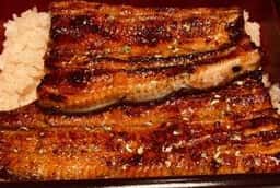 うなぎ小椋 道後店