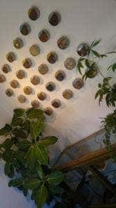 TEA HAUSE L'HERBE ROYALE