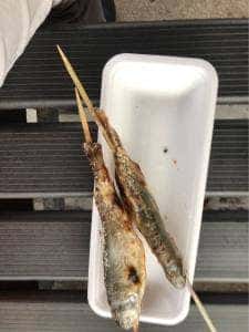 渓流釣り 軽井沢おもちゃ王国