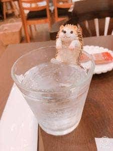 ギャラリーカフェ エソラⅡ