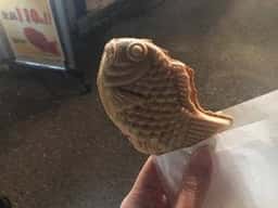 鯛心